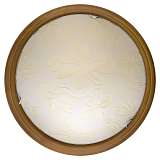 Светильник Toplight TL9640Y-00OA