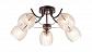 Потолочная люстра Escada 1104/5P - фото №2