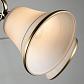 Потолочная люстра Arte Lamp Blossom A2709PL-5AB - фото №4