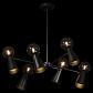 Подвесная люстра Loft IT Halley 10046/6 Black - фото №5