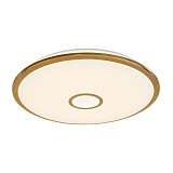 Светильник Citilux CL70382R