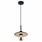Подвесной светильник Lussole Loft LSP-8490 - фото №1