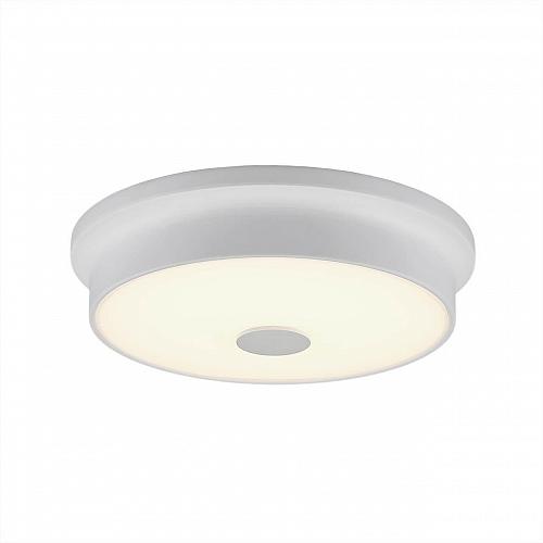 Потолочный светодиодный светильник Citilux Фостер-2 CL706220