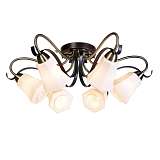 Люстра Silver Light 225.59.6