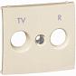 Лицевая панель Legrand Valena розетки TV-R слоновая кость 774342 - фото №1