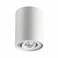 Потолочный светильник Odeon Light Hightech Pillaron 3564/1C - фото №1
