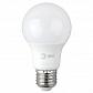 Лампа светодиодная ЭРА E27 8W 6500K матовая LED A60-8W-865-E27 Б0048502 - фото №1