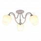 Потолочная люстра Toplight Abegail TL1133-3D - фото №1