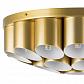 Потолочная люстра Lightstar Siena 720222 - фото №6