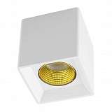 Потолочный светильник Denkirs DK3020WYE DK3080-WH+YE