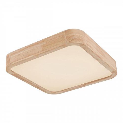 Потолочный светодиодный светильник Globo Leanara 41755-24