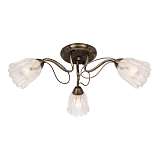 Люстра Silver Light 504.53.3