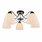 Потолочная люстра Omnilux Fiesole OML-65707-05 - фото №1