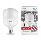 Лампа светодиодная Gauss E40 40W 6500K матовая 60434