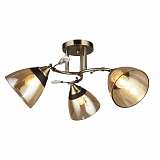 Люстра Wedo Light 66368.01.05.03