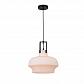 Подвесной светильник Arte Lamp Arno A3624SP-1WH - фото №2