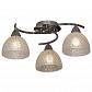 Потолочная люстра Lussole Zungoli GRLSF-1603-03 - фото №1