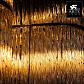 Потолочная люстра Arte Lamp 11 A8562PL-15CL - фото №2
