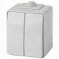Переключатель двухклавишный ЭРА Эксперт 10AX 250V IP65 11-1606-03 Б0035979 - фото №1
