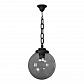 Уличный подвесной светильник Fumagalli Sichem/G300 G30.120.000.AZE27 - фото №1