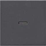 Лицевая панель Gira System 55 выключателя одноклавишного с подсветкой антрацит 029028