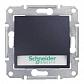 Выключатель кнопочный с подсветкой и полем для надписи Schneider Electric Sedna 10A 250V SDN1600370 - фото №1