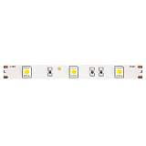 Светодиодная лента Maytoni Technical 7,2W/m 30LED/m 5050SMD холодный белый 5M 10122