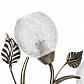 Потолочная люстра Arte Lamp Anetta A6157PL-5AB - фото №3