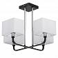 Потолочная люстра MW-Light Прато 5 101011904 - фото №1