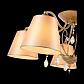 Потолочная люстра ST Luce Rimonio SL1135.102.05 - фото №4