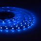 Светодиодная лента Apeyron 4,8W/m 60LED/m 3528SMD синий 5M 00-01 - фото №1