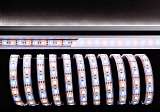 Светодиодная лента Deko-light 840098