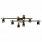 Потолочная люстра Lumien Hall Trey LH4138/8CB-BR-BK - фото №1