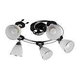 Спот Toplight Sara TL2730X-05BC