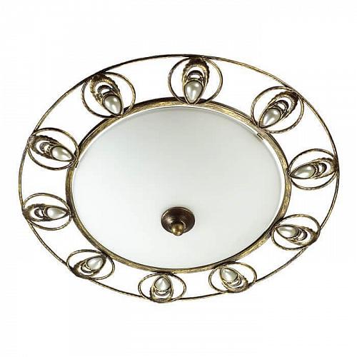 Потолочный светильник Odeon Light Kanti 3484/2C