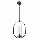 Подвесной светильник Arte Lamp Celaeno A7004SP-1BK
