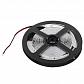 Светодиодная лента ЭРА 4,8W/m 60LED/m 2835SMD белый 5M LS2835-4,8-60-24-33-4000К-5m Б0043108 - фото №1