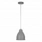 Подвесной светильник Arte Lamp Braccio A2054SP-1GY - фото №1