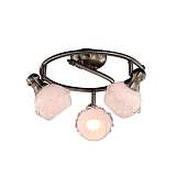 Спот Citilux CL540531