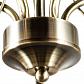 Потолочная люстра Arte Lamp Blossom A2709PL-5AB - фото №3