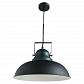 Подвесной светильник Arte Lamp Martin A5213SP-1BG - фото №1