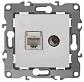 Розетка комбинированная RJ45+TV ЭРА 12 12-3110-01 Б0027441 - фото №1