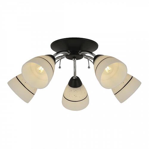Потолочная люстра Toplight Winnifred TL1255D-05BC
