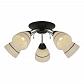 Потолочная люстра Toplight Winnifred TL1255D-05BC - фото №1
