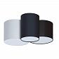 Потолочный светильник TopDecor Family P1 10 01g/02g/05g - фото №1