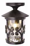 Уличный потолочный светильник Arte Lamp Persia A1453PF-1BK