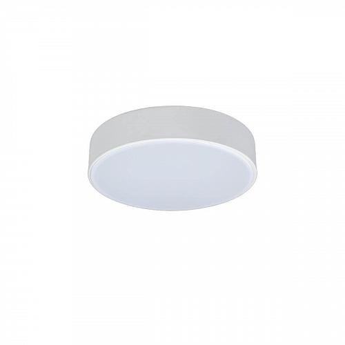 Потолочный светодиодный светильник Loft IT Axel 10002/12 white