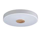 Потолочный светодиодный светильник Loft IT Axel 10003/24 white