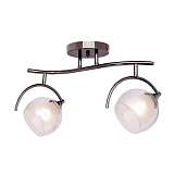 Люстра Silver Light 255.59.2