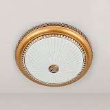 Светильник Citilux CL425402